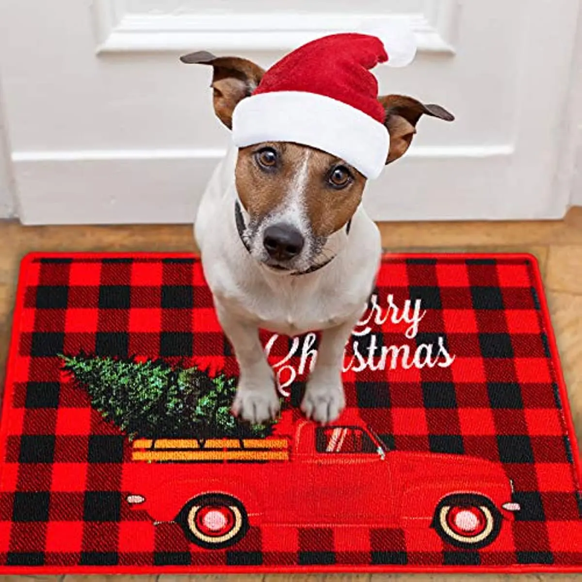 Christmas Rugs Winter Holiday Welcome Doormats Non-Skid Floor Mat