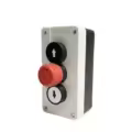 Type 1