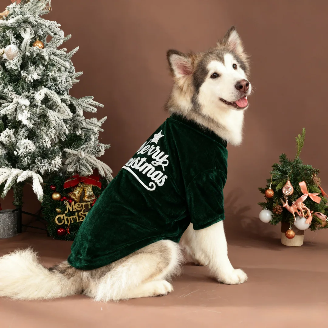 Classic Christmas Dog Outfit 1