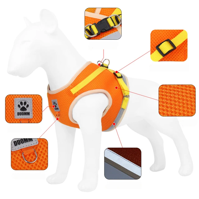 Puppy Dog Harness Leash Rope Set Breathable Summer Mesh Cat Dogs Harness Vest Reflective Pet Cat Chest Straps Chihuahua Yorkies 3