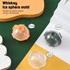 Ice Maker Mold Whiskey Ice Hockey Mould 5cm Round Ice Mould For Ice Shape Cocktail Use Sphere Plastic Large Kitchen Gadget 4