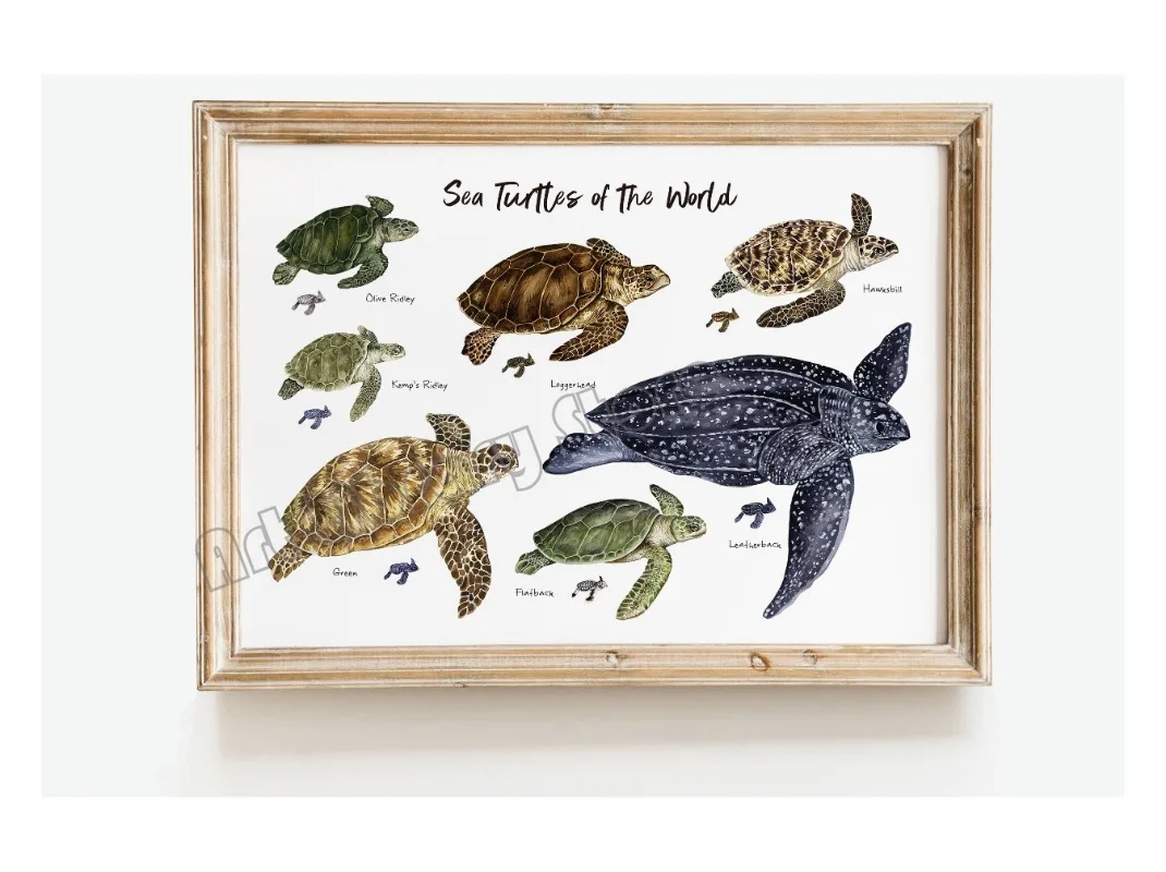Marine Life Ocean Animals Canvas Art Poster - Whales, Sharks, and Turtles