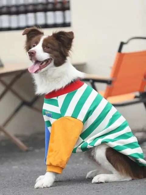 Fall Season Dog Sweatirt Pet Clothing Golden Retriever Samoyed Color Blo Patchwork Trendy Brand Dog Sweater
