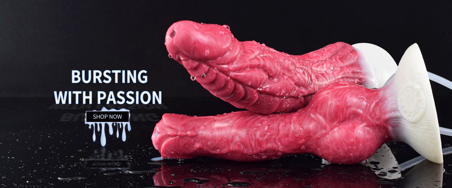 canine penis woman anal gif NUUN Dog Knot Anal Dildo Soft Silicone With Suction Cup Simulation Penis  Massage Masturbation Adult Sex Toys For Woman Butt Plug - AliExpress