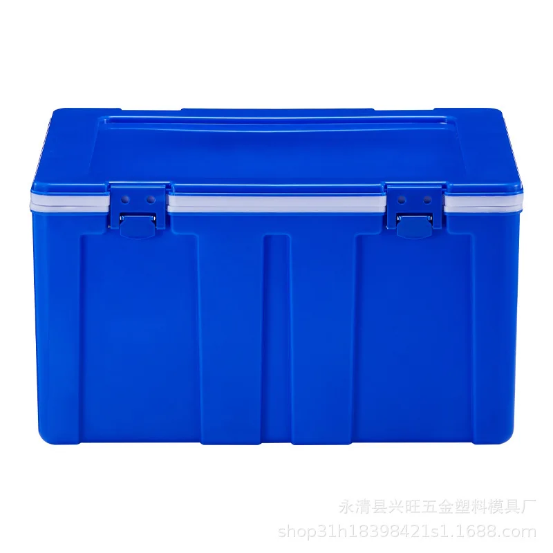 Classic 60L Incubator Outdoor Vehicle-Mounted Freezer Camping Food Storage Fresh Cooler