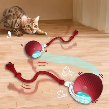 Smart Rolling Cat Toy 1