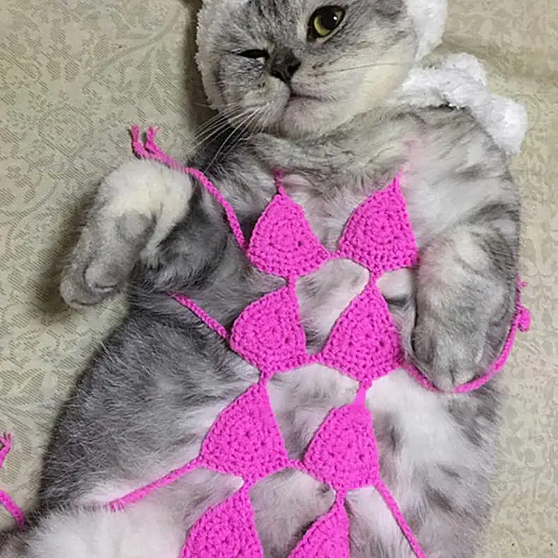 Funny Knitted Cat Bra Creative Pet Costume