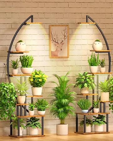 Plant Stand 10