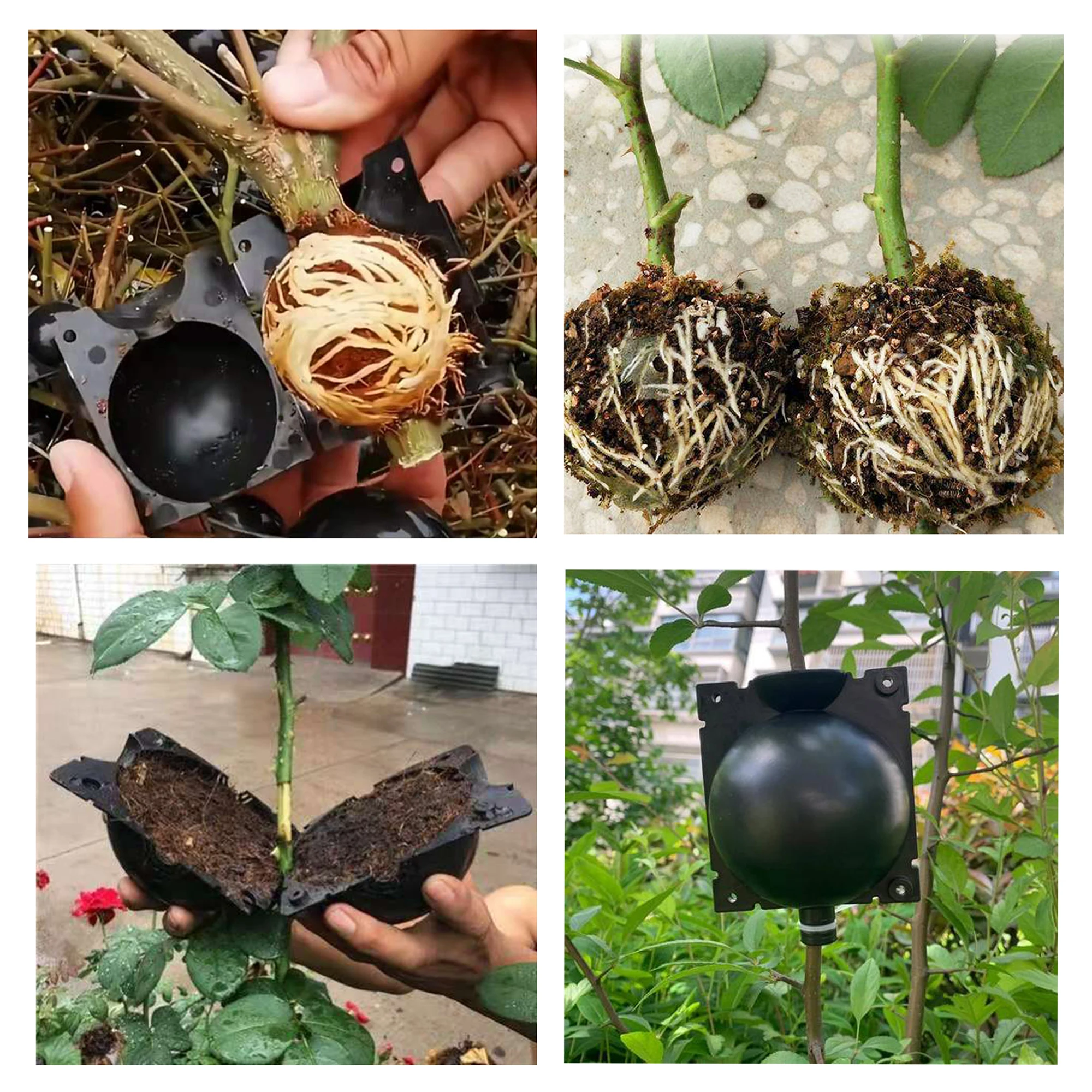 Plant Rooting Device, High-pressure Propagation Ball Grafting Box, Plant Root Ball Grafting, Transplanting Rooting Device