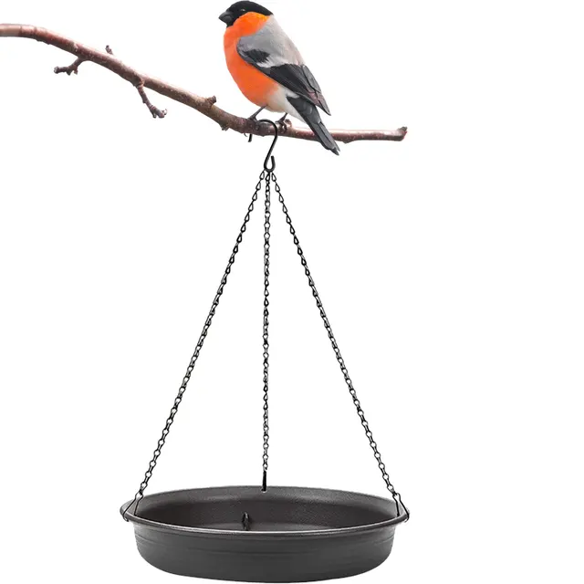 Confrontal-Mangeoire à oiseaux montée sur arbre, bol d'eau