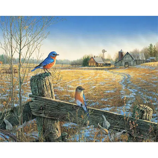 Farmland Birds Nature Painting By Numbers Kit