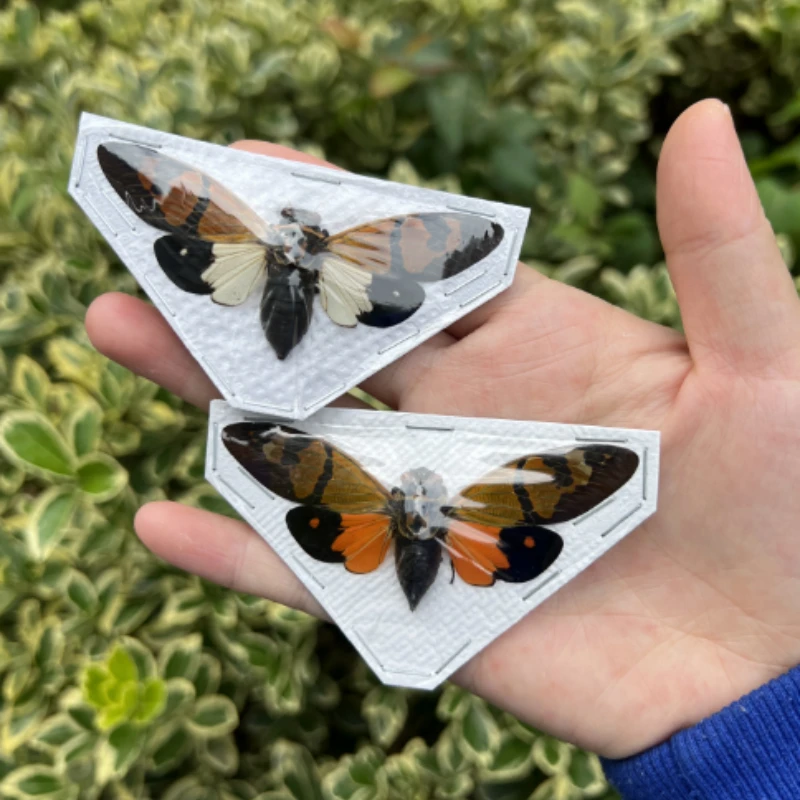 

Женский образец, коллекция Gaeana, праздничный подарок, художественное обучение, домашний декор, скульптура для творчества