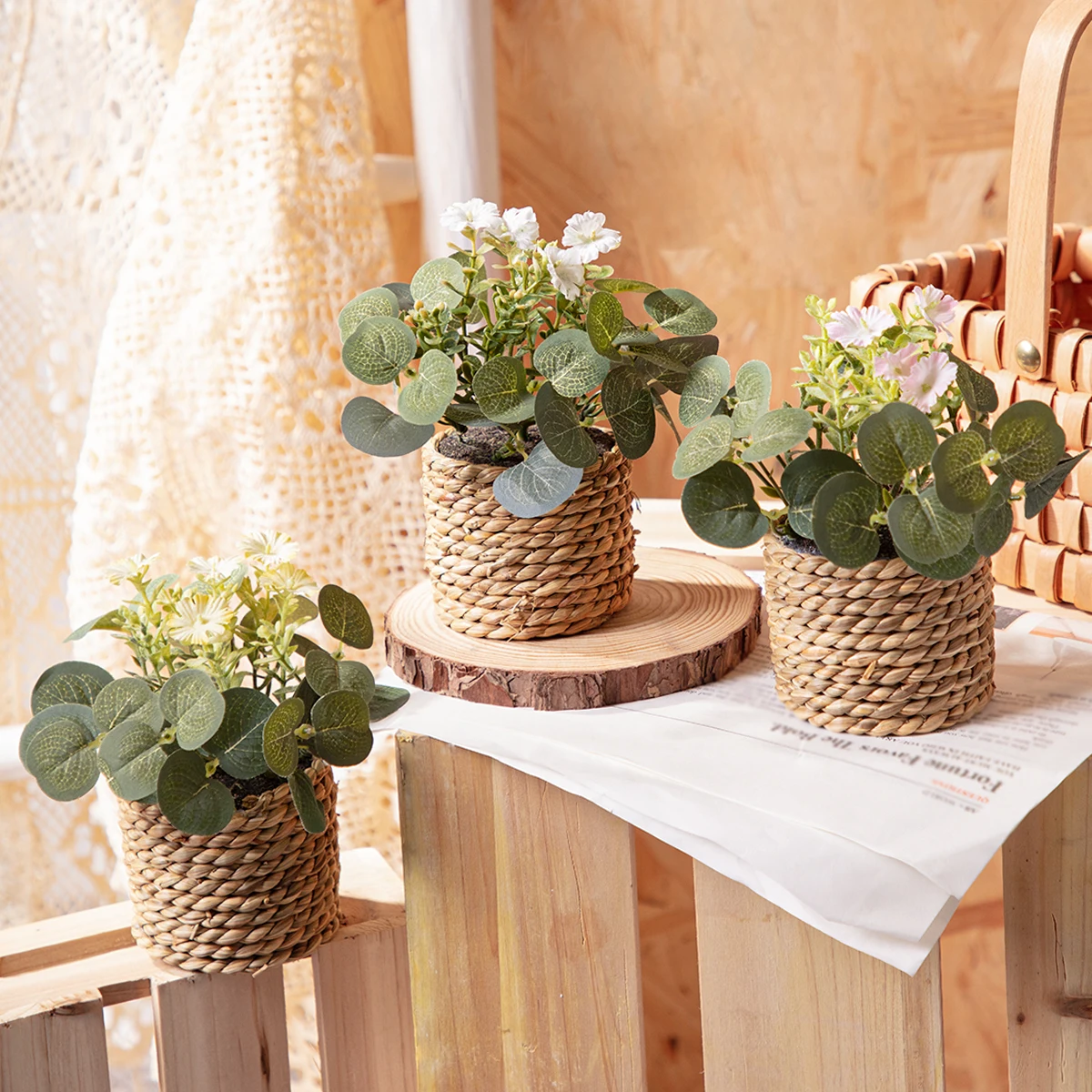 Artificial Eucalyptus Flower Potted Plant 6