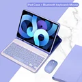 Purple B