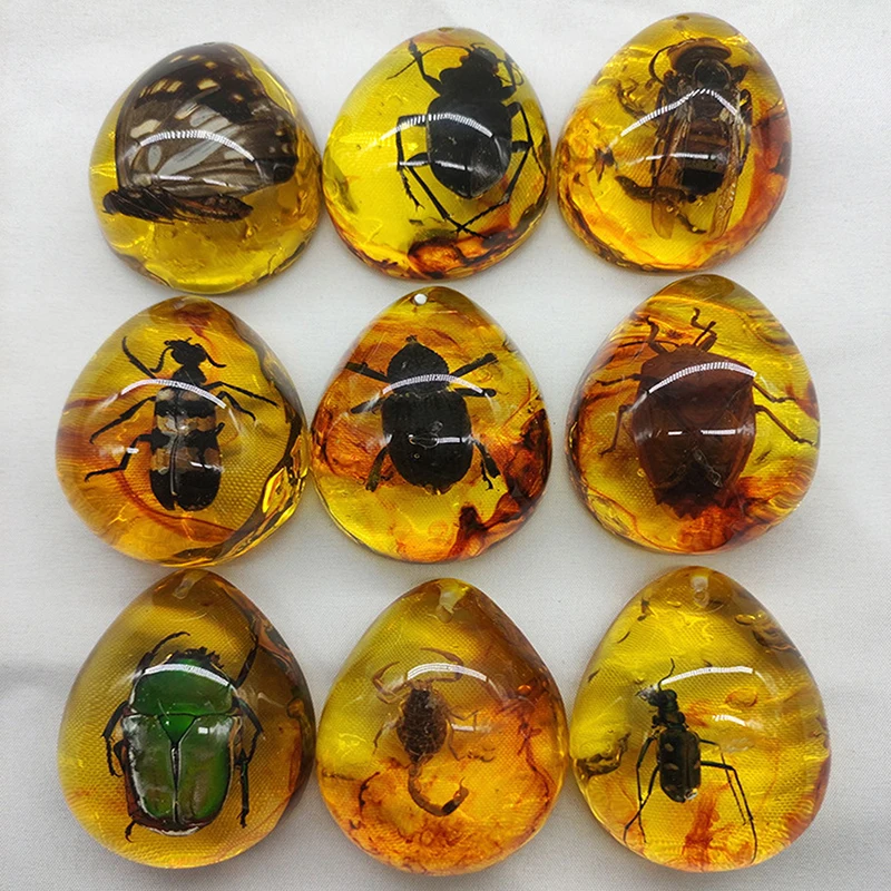 Resin Crafts 1PC DIY Insects Amber