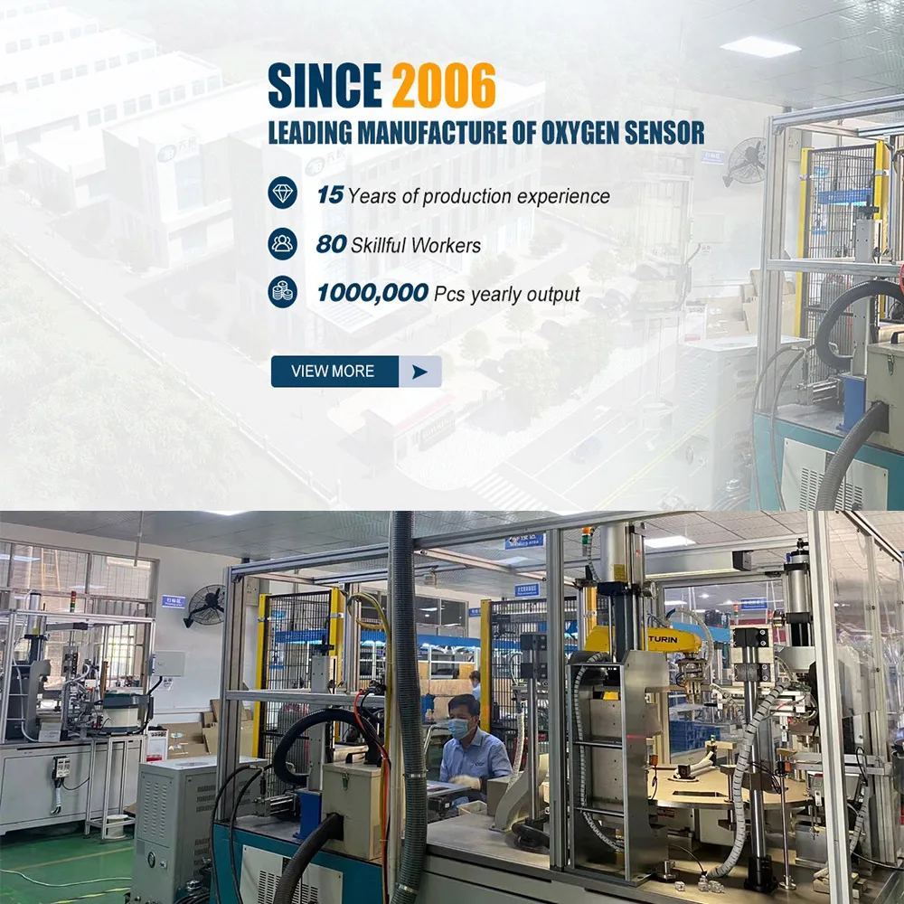 O2     Nubira L4 2.0L 1999 2000 2001 2002 Downstream 250-24406