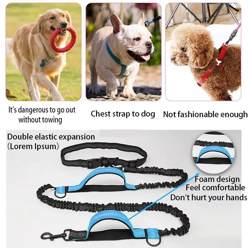 Reflective Double Elastic Retractable Dog Leash - Wholesale Pet Supplies