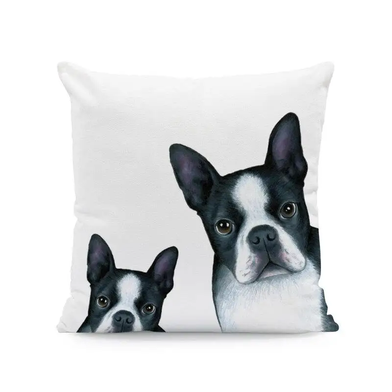 ��� ���� ���� �䳢 ������ Ŀ�� �۱� ����, ����ġ �ҵ�, �Ϳ��� ������ ����