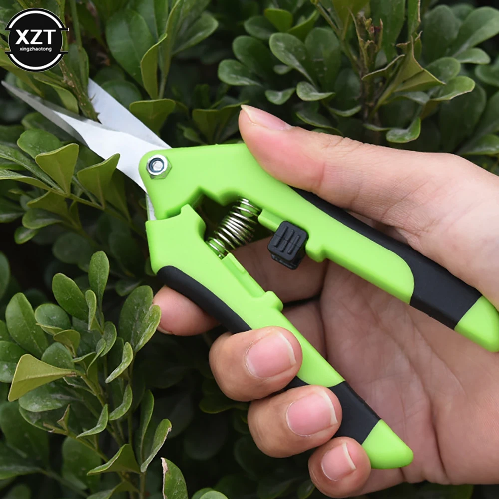 Stainless Steel Garden Pruning Shears Tools Fruit Grape Picking Scissors Horticulture Plants Weed Leaf Trimmer Straight Elbow