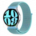 Cornflower 42