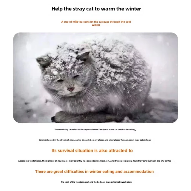 Cat House Weatherproof Safe Outside Winter Warm Pet Sleeping Bed Outdoor Foldable Small Dog Puppy Supply Universal Four Seasons 5