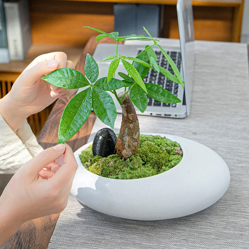 Ceramic Flowerpots, Large-caliber Hand-made Plant Pots, Micro-landscape pots, Large Air-permeable Flower Pots In The Office, 1Pc