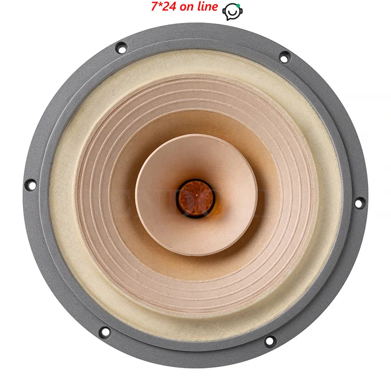 LS-01 Fast-10 10 Inch Full Range Speaker 25W-50W/8Ohm/LII AUDIO FAST-10/crystal-10 FULL/crystal-10/MUSIC-10 (1 Pair)