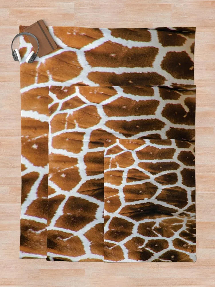 �⸰ ��Ų ���ο� ���, ����� �̱� ���� ���