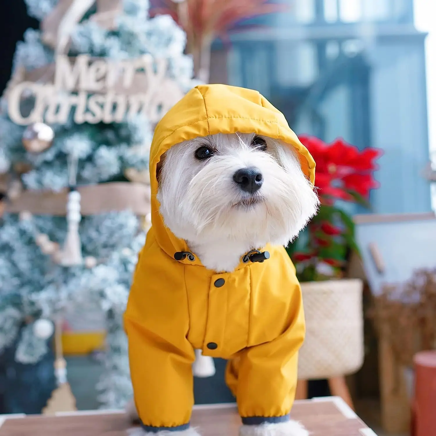 Dog Raincoat with Hood Puppy Small Medium Dogs Solid Puppy Clothes Reflective Pets Cats Outwear Four Legged Solid Jacket
