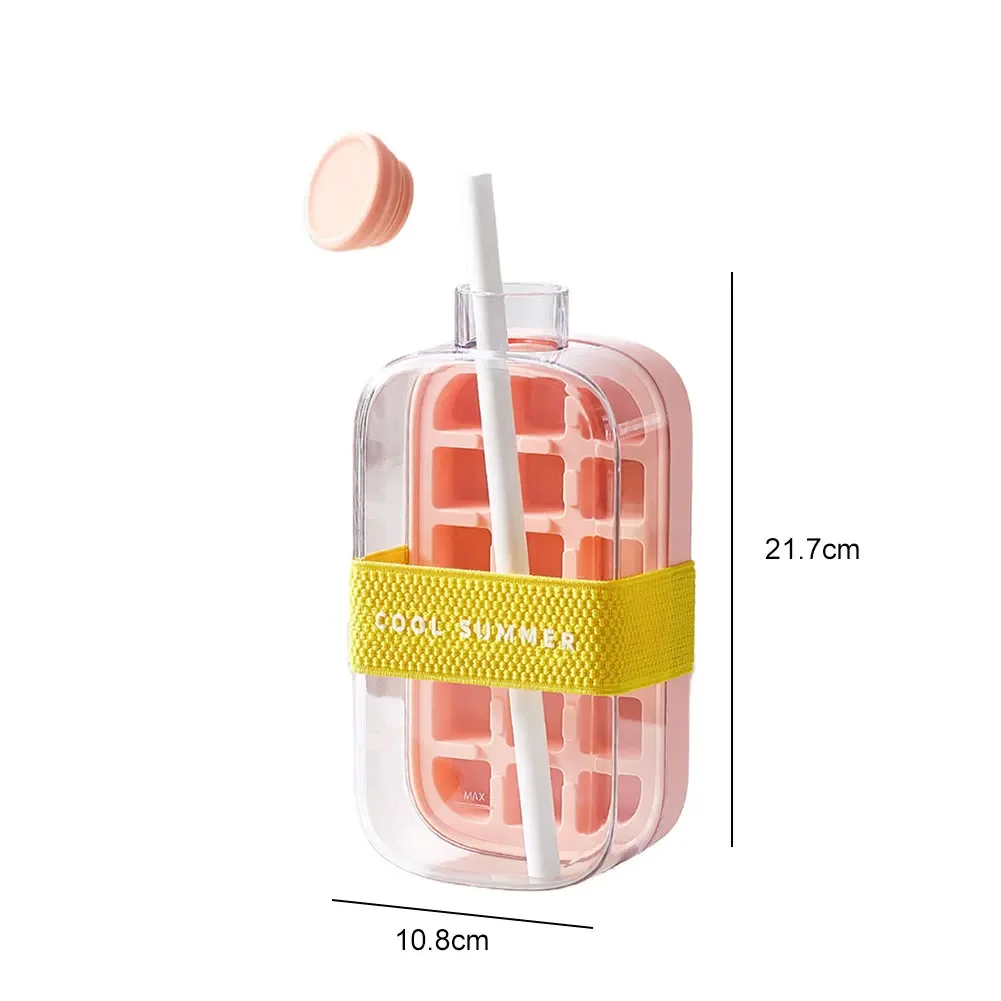2 in 1 Ice Cubes Tray with Lid Ice Cubes Bottle with Straw Ice Maker 500ML/800ML for Cocktail Coffee Whiskey Beer Juice