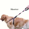 Nylon Reflective Stretch Big Dog Harness Pet Dog Accessories for Small Medium Large Dogs Dog Walking Cat Collar Dog Leash 5