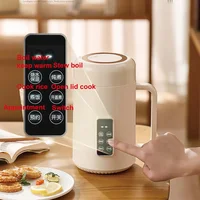 Bouilloire électrique 500W 12h, Pot spécial pour bouillie de rendez-vous, tasse de santé Portable en acier inoxydable 304, cuiseur à riz multifonctionnel 1L 3