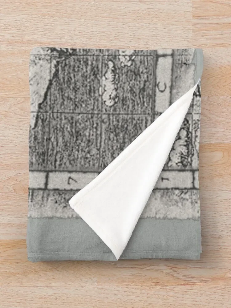 �Ż��� �׸��� ������ ���, ũ�������� ���, ǫ���� ���� ���� ���