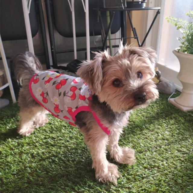 Ropa para perros pequeños de verano: Camisetas y Estilo Hawaii Emoape