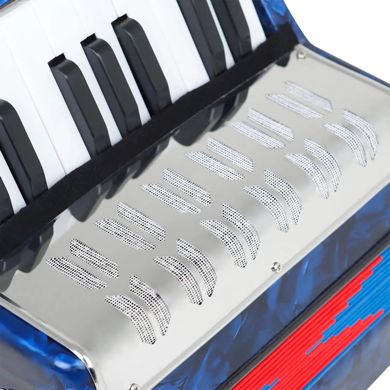 17 Key 8 Bass Accordion Educational Musical Instrument for Kids Adults