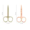 1Pcs stainless steel Eyebrow Scissor Electroplated Rose Gold Mini scissors Makeup Eyelash Trimmer Facial Beauty Scissors 2