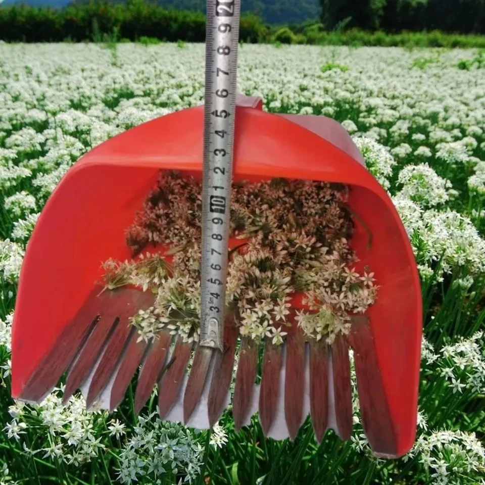 Leek flower Metal Picking Tools, Harvesting Basket, Picker Portable Rake, Gardening Collector, Fruit Flower Collecting Harvester