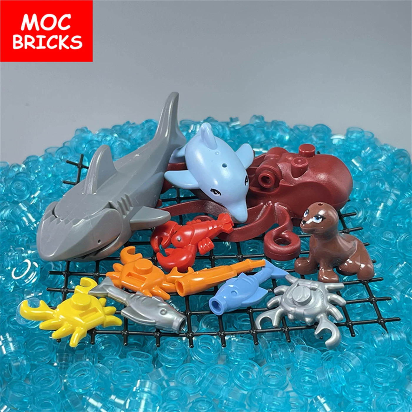 Sc37fe14064374c38bd1f62e11bacf