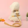 Escape Proof Cat Harness and Leash Set Adjustable Mesh Dog Harness Vest Puppy Pet Walking Lead Leash Small Dogs Cats Kitten 2