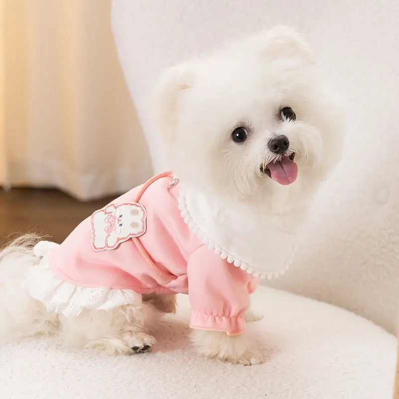 Roupas para cães inverno luxo filhote de cachorro cão hoodies