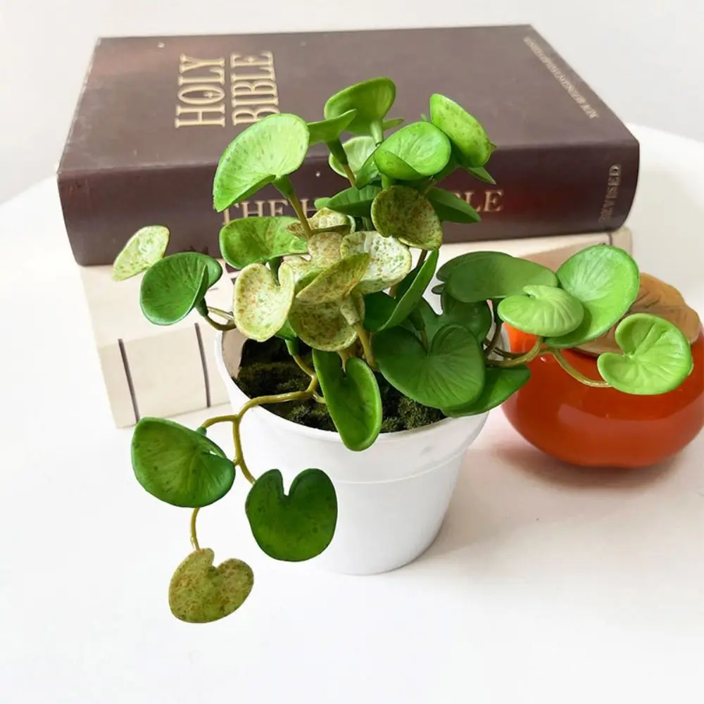 NEUE Weiche Kunstpflanze aus EVA - Künstliches Kupfermünzgras zur Wanddekoration - Simulierter Bonsai für Zuhause und Büro – Detail 3
