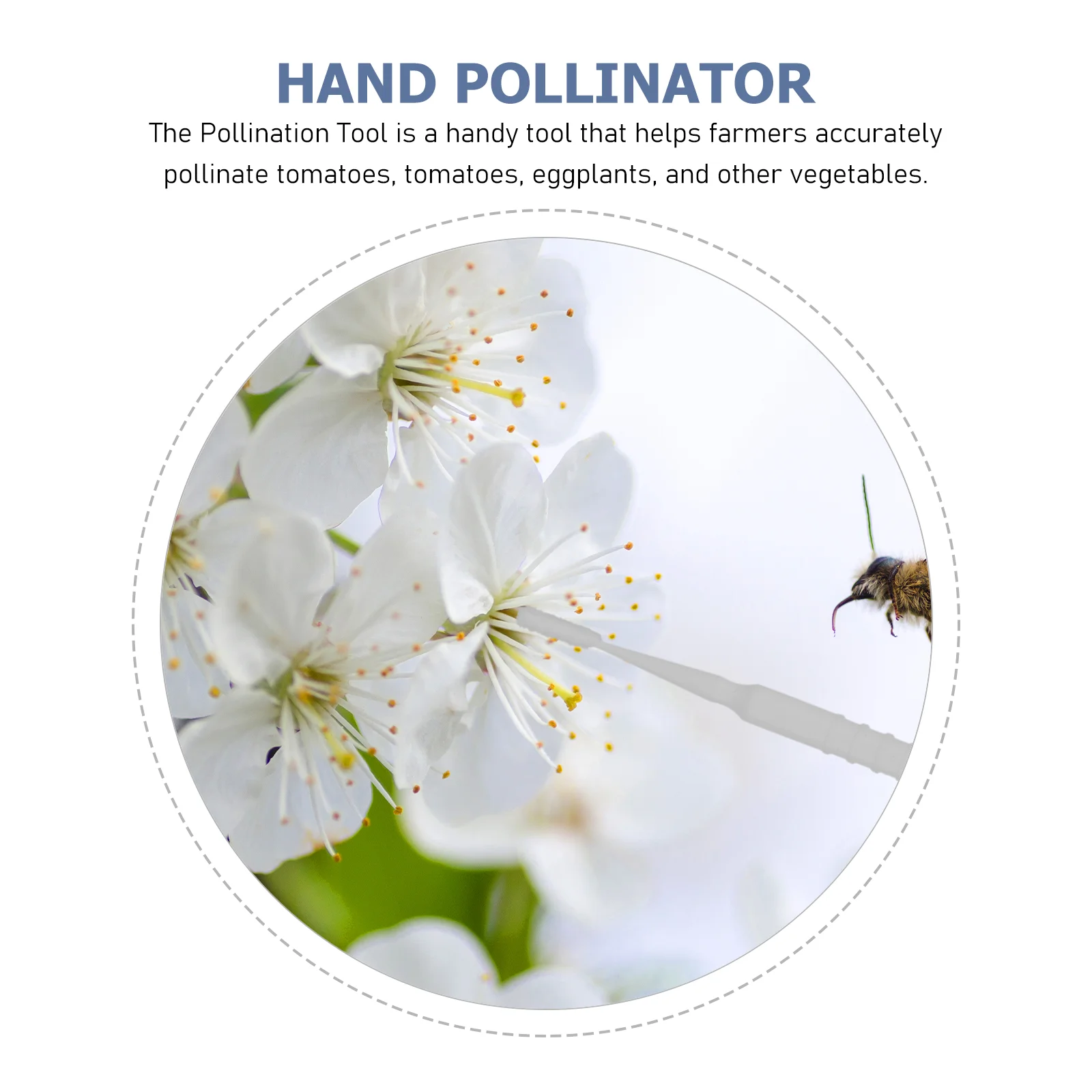 20 Pcs Flowers Pollinator for Vegetable Plastic Succulent Plants Brush Fruit Tree