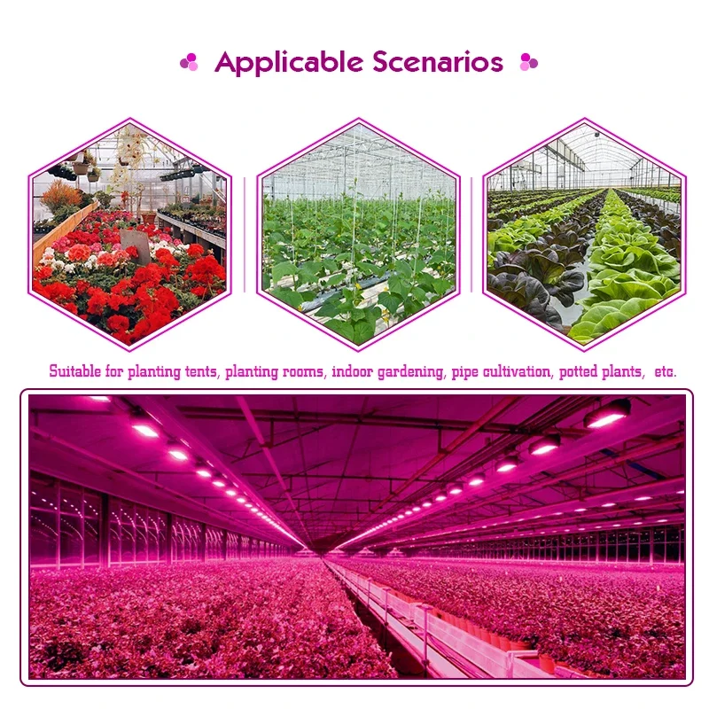 LED Grow Light Plant Hydroponic Lamp 50W 100W 220V Led Full Spectrum with EU Plug for Greenhouse Seeds Flower Growth Lighting