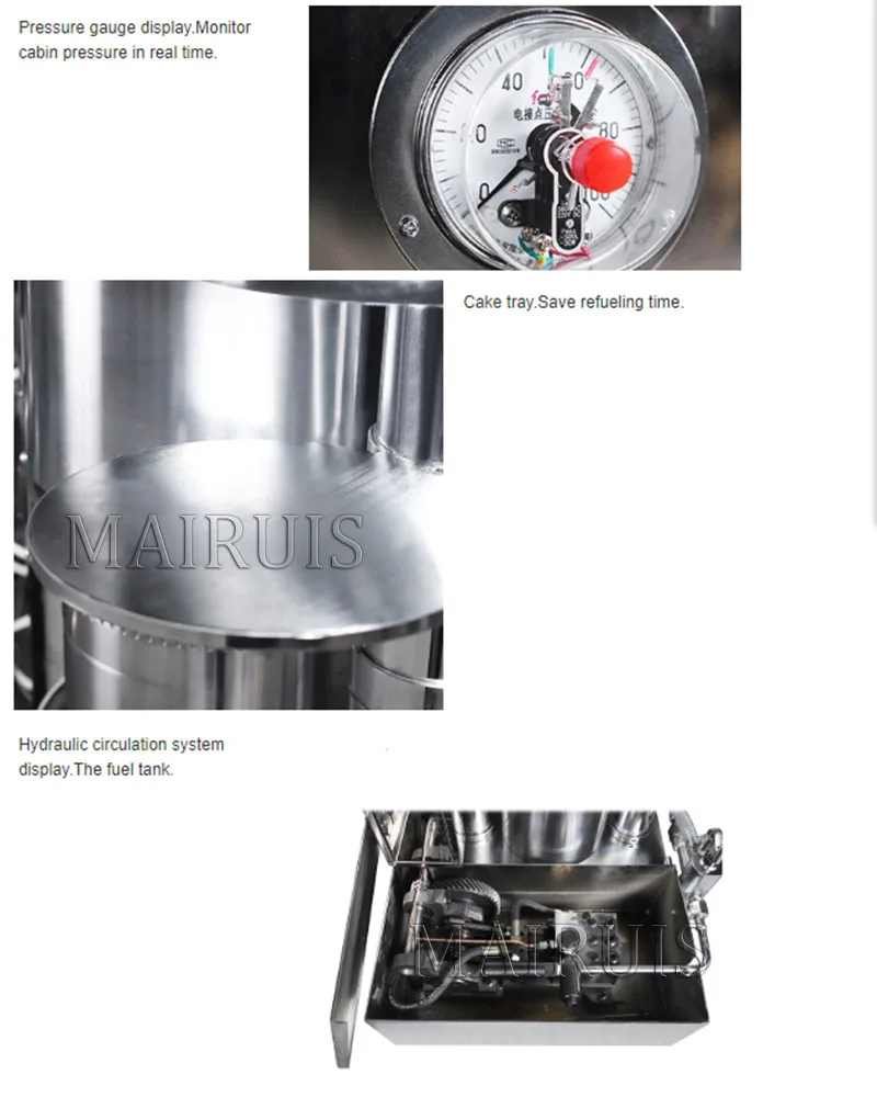Automatic Cold Press Oil Machine Sunflower Seeds Oil Extractor Olive Oil Press Extract Oil Cold Press Machine