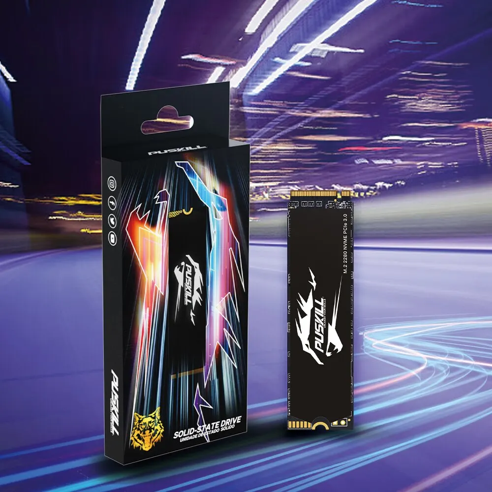 Рисунок 3 - PUSKILL SSD M.2 NVMe 1TB 512GB