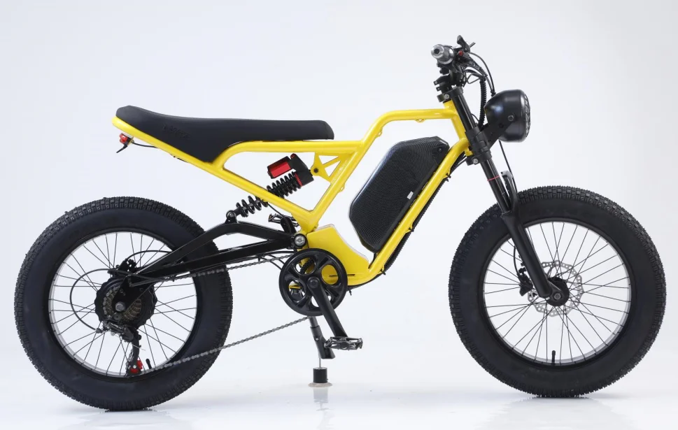 AKEZ 48V 750W/1500W motor 18AH 20*4.0-inch fat tires Adult Mountain Off-road Electric Bicycle All-terrain