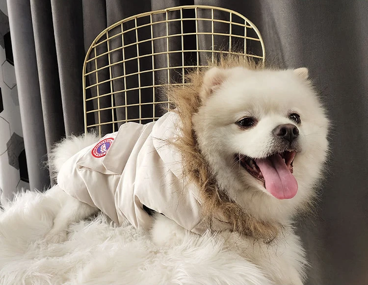Artik Feather Down Dog Vest