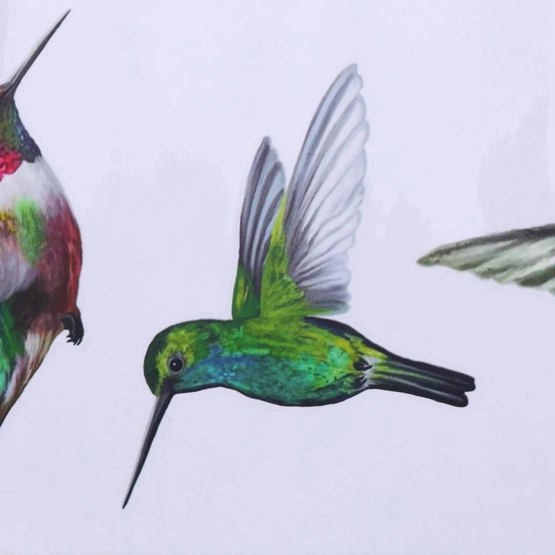 8 Large Beautiful Humming Bird Static Cling Window Stickers Hummingbird Anti Collision Bird Strike Window Stickers-[A37I]