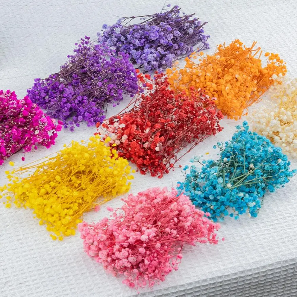 9 Farben Schleierkraut Trockenblumen Bouquet Vase Umschlag DIY Blumenarrangement Hochzeit Party Künstlerische Valentinstag Geschenke 2026 – Detail 12