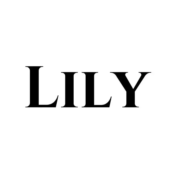 Lily Wedding Dress Store
